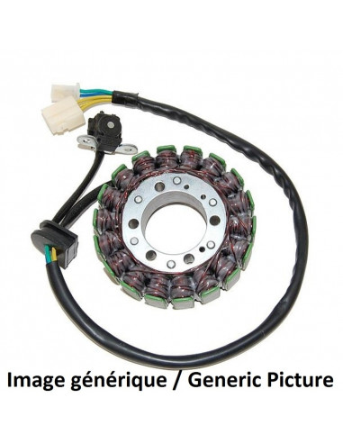 Stator ELECTROSPORT - Hyosung GV650