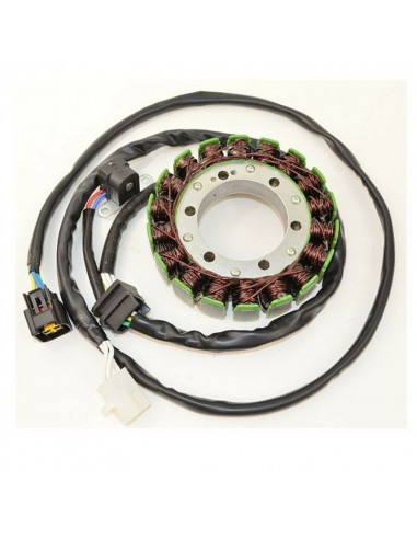 Stator ELECTROSPORT