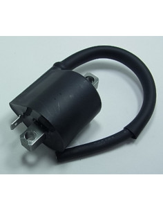 Bobine d'allumage TOURMAX Kawasaki ZX6R