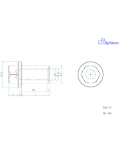 Vis LIGHTECH M5 X 13 Type 1036 Ergal noir à l'unité
