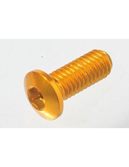 Vis spéciale Ergal 7075 LIGHTECH M6 X 15 type 956 argent