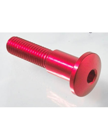 Vis spéciale Ergal 7075 LIGHTECH M10 X 49 type 931 cobalt