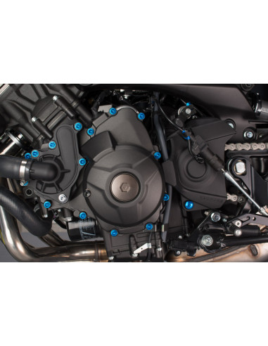 Kit vis moteur LIGHTECH or alu (39 pièces) Yamaha MT-09