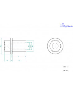 Vis LIGHTECH M5 X 10,3 Type 1028 Ergal argent à l'unité