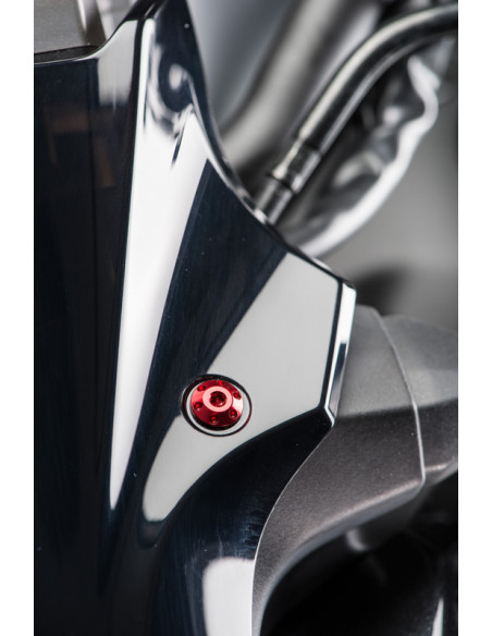 Kit vis de carénage LIGHTECH argent (24 pièces) Kawasaki Z900