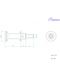 Vis LIGHTECH M6 X 21 Type 1011 Ergal argent à l'unité