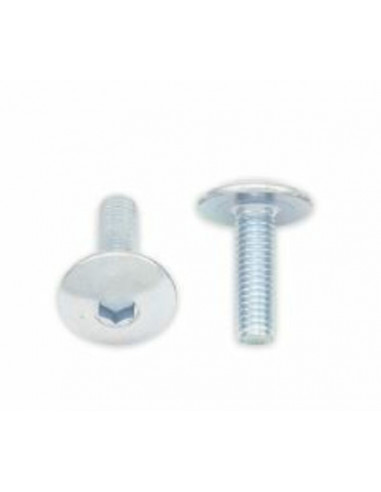 Vis tête bombée plate BOLT M5x0,80x16mm 10 pièces