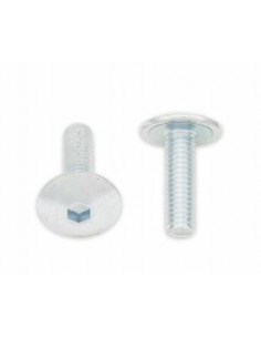 Vis tête bombée plate BOLT M6x1x20mm 10 pièces