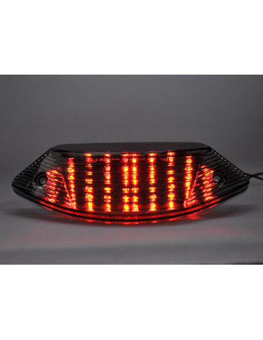 Feu arrière BIHR LED avec clignotants intégrés HONDA 600/900