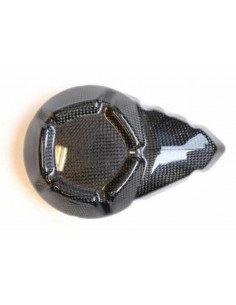 Couvre carter alternateur LIGHTECH carbone brillant Kawasaki Z800