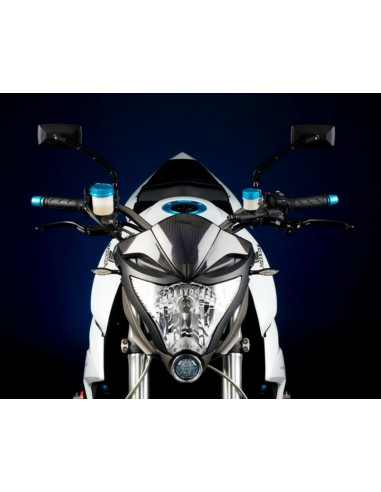 Carter de compteur LIGHTECH carbone brillant Honda Cb1000R