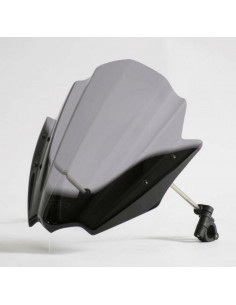 Bulle MRA Racing Naked Bike RNB - Kawasaki ER-6N/Ducati Diavel 2