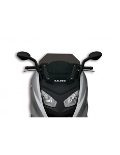 Bulle MALOSSI Sport - BMW C600