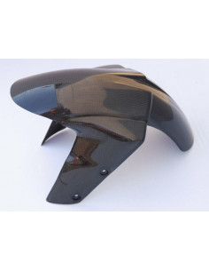 Garde boue avant LIGHTECH carbone mat Ducati Monster 1100 Evo