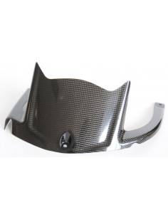 Garde boue arrière LIGHTECH carbone brillant Kawasaki Zx10R
