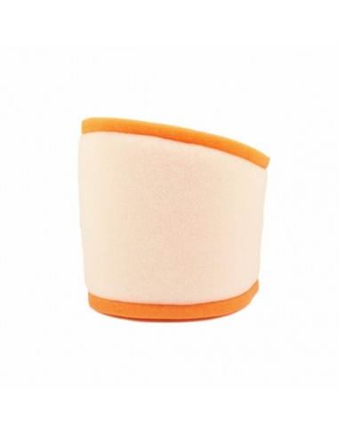 Filtre à air TWIN AIR - 152118 Yamaha