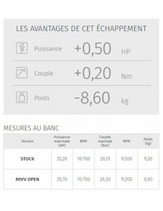 Silencieux MIVV Double Gun 2