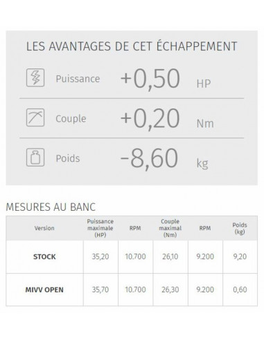 Silencieux MIVV Double Gun
