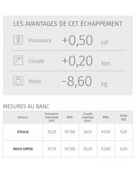 Silencieux MIVV Double Gun