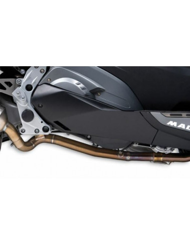 Collecteur MALOSSI Wild Lion - Inox Carbon BMW C650 Sport