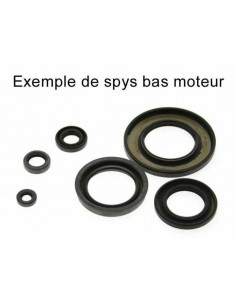 Jeu de joints spi CENTAURO