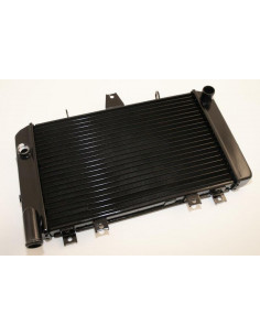 Radiateur BIHR - Kawaasaki ZRX1100/1200