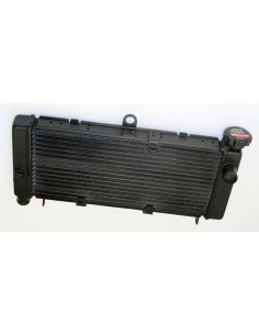 Radiateur BIHR - Honda CB600 Hornet