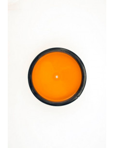 Couvercle de filtre à air TWIN AIR - 160050 Honda CR80/85R 2