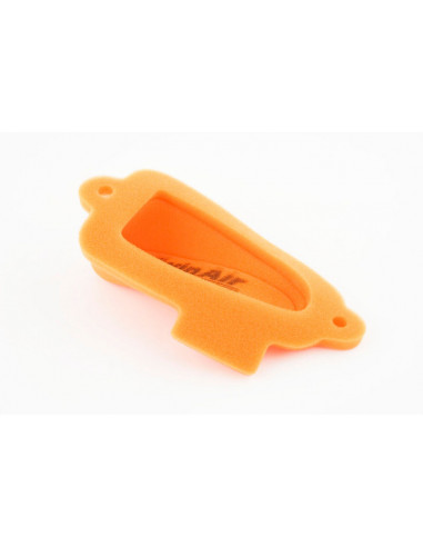 Filtre à air TWIN AIR - 158029 Beta EVO