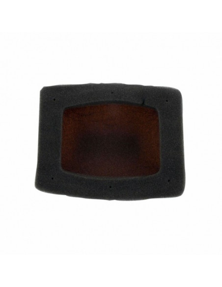 Kit filtre à air + cage intérieure TWIN AIR - 157033C Aprilia