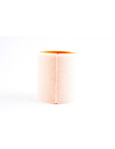 Filtre à air TWIN AIR - 150550 Honda XL500S/R 2