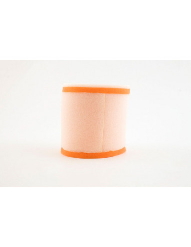 Filtre à air TWIN AIR - 153910 Suzuki LT-R450