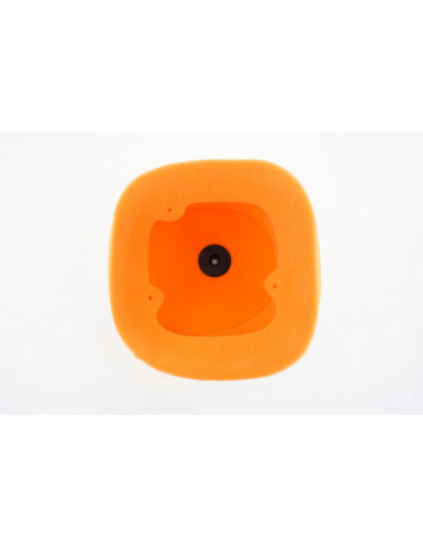 Filtre à air TWIN AIR - 158028 Beta RR