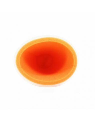 Filtre à air TWIN AIR - 156143 Polaris