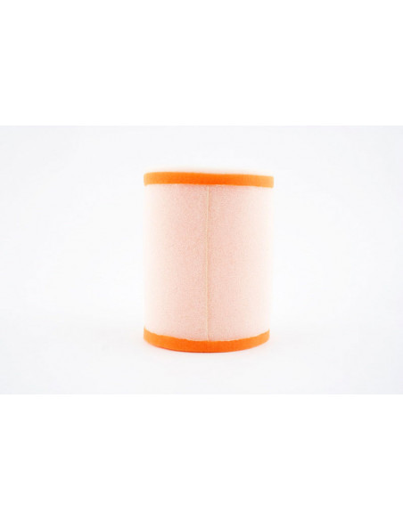 Filtre à air TWIN AIR - 153908