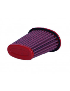 Filtre à air BMC - FM01013 Benelli TNT 25 2