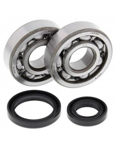 Kit roulements et joints spi de vilebrequin ALL BALLS