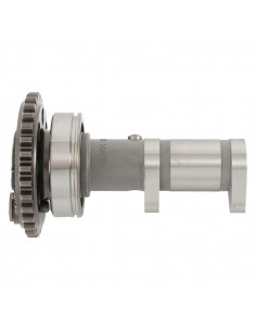 Arbre à cames échappement HOT CAMS - Niveau 1 Yamaha WRF/YZF450