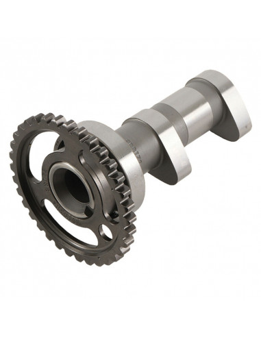 Arbre à cames admission HOT CAMS - Niveau 1 Suzuki LT-R450