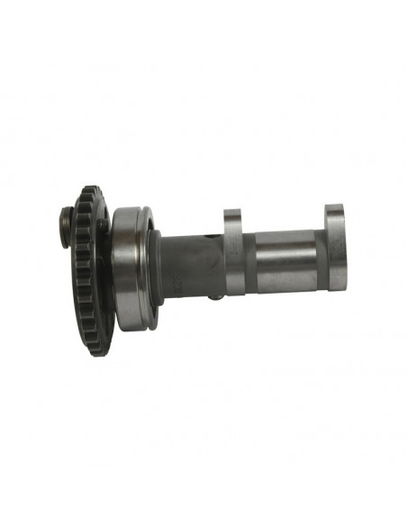 Arbre à cames échappement HOT CAMS - Niveau 1 Yamaha YFZ450