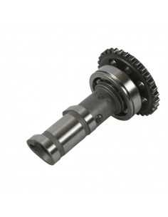 Arbre à cames échappement HOT CAMS - Niveau 1 Yamaha YFZ450 2