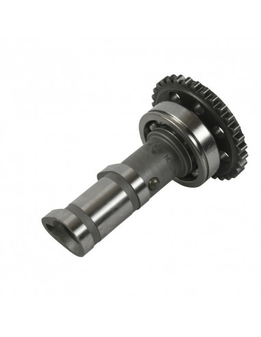 Arbre à cames échappement HOT CAMS - Niveau 1 Yamaha YFZ450