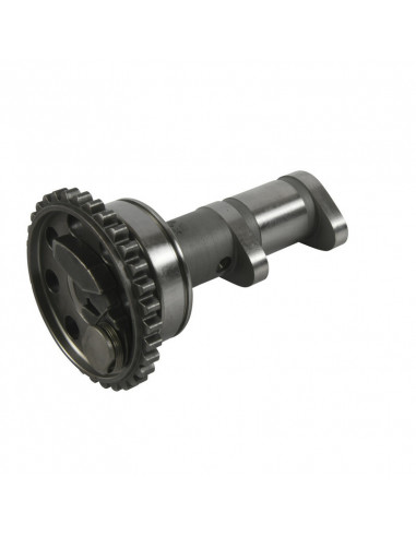 Arbre à cames échappement HOT CAMS - Niveau 1 Yamaha YFZ450