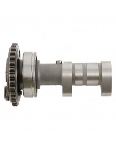 Arbre à cames échappement HOT CAMS - Niveau 2 Yamaha YZ450F