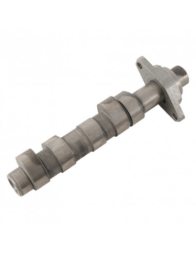 Arbre à cames HOT CAMS - Niveau 1 Honda Arbre à cames HOT CAMS - Niveau 1 Honda