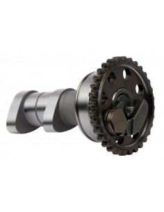 Arbre à cames échappement HOT CAMS - Niveau 1 Yamaha YZ250F