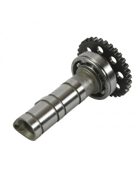 Arbre à cames admission HOT CAMS - Niveau 1 Yamaha YFZ450