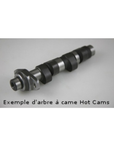 Arbre à cames HOT CAMS - Niveau 2 Polaris