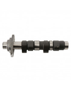 Arbre à cames HOT CAMS - Niveau 1 Honda XR400R