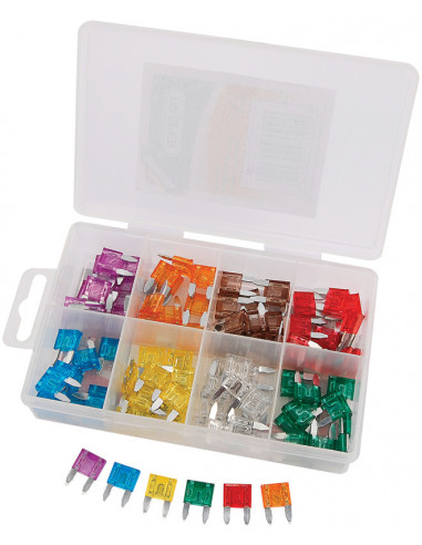 Boite de 100 mini-fusibles DRAPER